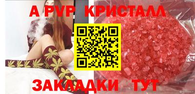 твердый Сланцы